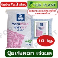 ปุ๋ย สูตร 8-24-24 ตรายารา มีร่า เเบ่งบรรจุ 10 กิโลกรัม ปุ๋ยเร่ง ต้น ใบ ดอก ผล ใส่ผัก ผลไม้ ไม้ดอกไม้