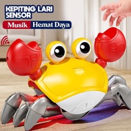 Crab Toys Children's Educational Toys Cute Crab Animals with Receiver and Music Microphone Music Edu
