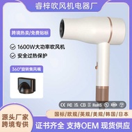 Hair Salon Hair Dryer Hotel Hair Dryer