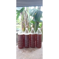 EM4 1250 ML UNTUK PERTANIAN/PENTERNAKAN