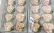 【限量禮盒！日系無毒天使之實白草莓6~9入(特大果) x2入】純淨無瑕的雪白色果實