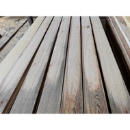 12mm(T) x 145mm(W) 2Ft to 6Ft (L) Gerutu species