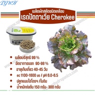 TGWH เมล็ดผักสลัด แบบเคลือบ กระปุก 1000 เมล็ด(Rijk zwaan)