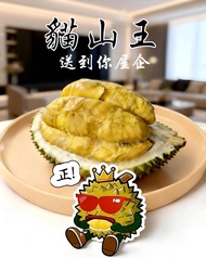 貓山王榴槤