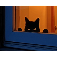 Angry Guard Cat (3D Printed Accessories)