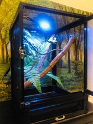 訂做 網格爬蟲箱造景 變色龍專用箱 爬蟲缸 苔蘚微景 水陸缸 生態缸 角蛙 睫角 蜥蜴 守宫 蟹 樹蛙 角蛙 爬蟲 爬寵 飼養箱 魚缸造景 造景設計 桌面擺設