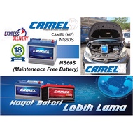 Camel (NS60S) 12V Plus Maintenance Free Automotive Battery