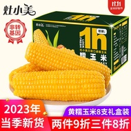 灶小美23年新玉米 黄糯玉米黏玉米棒子 真空包装非即食低脂轻食 黄糯礼盒装8穗/箱14-16cm