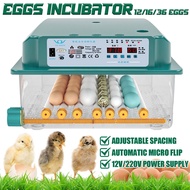 เครื่องฟักไข่ ตู้ฟักไข่ ตู้อบไข่ เครื่องฟักไข่อัตโนมัติ ตู้ฟักไข่ไก่ ฟักไข่ไก่ ไข่เป็ด ไข่นก 36/16/12 ฟอง ระบบอัตโนมัติ อัตราการ