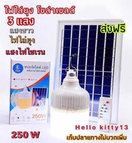 หลอดไฟตุ้มโซล่าเซลล์ PAE-6250 (250W) แสงขาว ไฟใล่ยุง แสงไฟไซเรน a