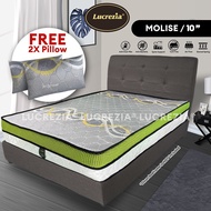 Free Shipping / Lucrezia Molise (Limited Edition)  King / Spine Support Spring Mattress/Tilam(Divan not included)