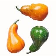 VE-26 Artificial Vegetables 3 Types Of Pumpkins