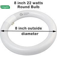 8 inch FC8T9/CW 22W Cool White Circular Fluorescent Light Bulb, Round T9 22 Watt Circline Fluorescen