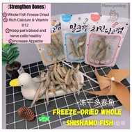 【Whole Shishamo Fish】 Freeze Dried Pet Treat Pet Food High Protein Makanan Kucing 宠物冻干 Cat Dog