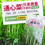 【多西多】廣良通心菜種子夏季陽臺盆栽蔬菜種籽農家四季播有機大葉空心菜種