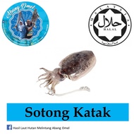 Sotong Katak Squid Hasil Laut Hutan Melintang Abang Omel