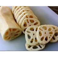 akar teratai / lotus root / akar lotus 37gr