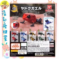 Overflowing Crazy Gashapon BANDAI Biological Illustrated Book Reptiles Arrows Poisonous Frog Rainfor