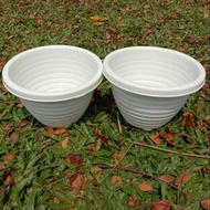 15cm biryani plant flower pot