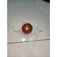 Himalaya Cricket Ball Training