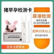 ((New Store Opening, Buy 3 Get 1 Free for All Products) Pig 19 Days Pregnancy Pregnancy Test Card Pi