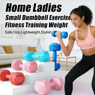 Hexagon Gym Dumbbell Exercise Home Training Workout Set哑铃 Dumbbell Dumbbell 2kg 1kg Fitness Weight