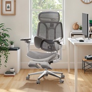 Hbada E3 Ultra Ergonomic Chair