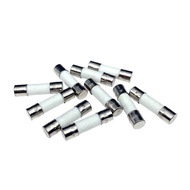Ceramic Fuse 5 * 20 6 * 30 F8A F10A T8A T10A Quick Break Slow Break Ceramic Fuse