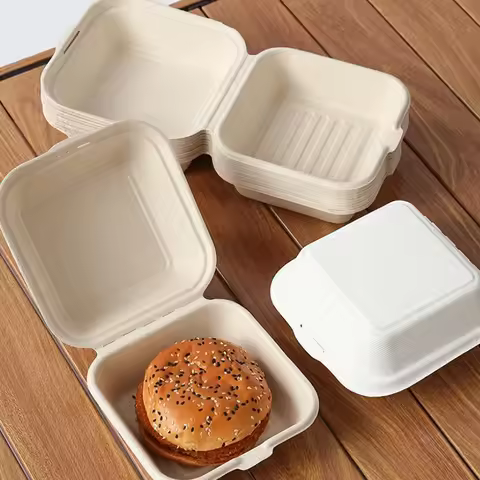 10pcs Disposable Bento Food Containers Baking Dessert Cake Bowl Packaging Burger Snack Boxes Microwa