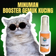 Booster Gemuk Kucing - Ubat Booster Gemuk Kucing Spray Homeopathy Hopets 30ml