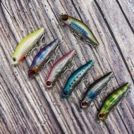 PL Fishing Lure DW71 6g 64mm 0-30cm