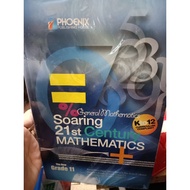 soaring 21st century mathematics