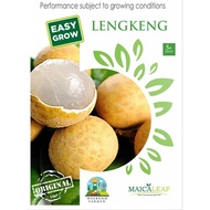 Longan Fruit Seeds/Longan Fruit Seeds Contents 5+seeds