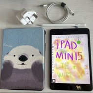 ipad mini 5 (LTE + Wifi) 電池健康度92...