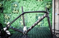 私信問折扣Road bike 2021 TREK EMONDA SLR P碳纖維公路車架碟剎