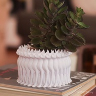 Multi-faceted New Product Decoration Cat Face 3D Flowerpot Desktop Courtyard Creative Planting Indoo