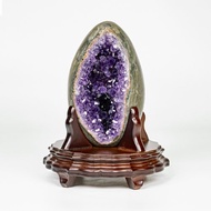 ESP 烏拉圭恐龍蛋 311500