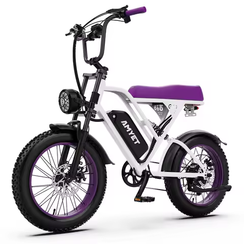 AMYET V9-G60 Adults Electric Bike 1000W Motor Bicycle 48V 20AH 20“ Tire Ebike Electric E Bikes Mount
