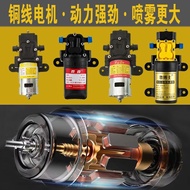Agricultural Electric Sprayer Water Pump 12V Sprayer Accessories Daquan Diaphragm Pump Sprayer High 