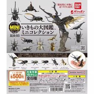 現貨 日本萬代 BANDAI MINI 甲蟲 鍬形蟲 立體模型圖鑒3 轉蛋  露天市集  全台最大的網路購物市集