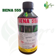 1L Bena 555 / Bena Hijau / Bena Perang / Pianggang / Belalang / Lelompat Daun / Kutu Beruang