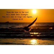 Isaiah 40_31 Biblical Verse Inspirational Art Picture Print Silk Poster Home Wall Decor 0801