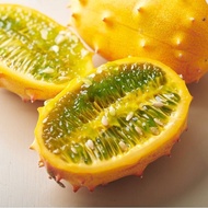 JELLY F1 HORN MELON SEEDS IMPORTED IN USA - 10 SEEDS