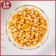 Popcorn Kernel Biji Jagung 1kg 爆米花 玉米粒 山东特产