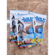 June Nine Plus Bird Food 100 Grams (Pack Of 3)