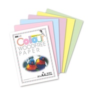 【Kami】A4 Colour Woodfree Paper 20’s - Assorted Colours SKOT-7037H
