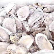 [TASTY FROZEN] Half Shell Oyster Big 半壳生蚝 12pcs