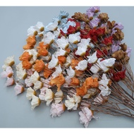 Bauhinia Lily Flower Sakura Flower Wedding Home Decor | Bunga Sakura Pelamin Murah  Hantaran Bunga H
