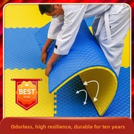 【stock MY】✨baoyibao✨Interlocking Foam Mat | 100x100cm Taekwondo Mat | Non-Slip Play for Kids | 2.0/2