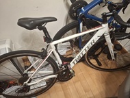 Twitter 公路車, 2 x 10 , 碳纖叉
